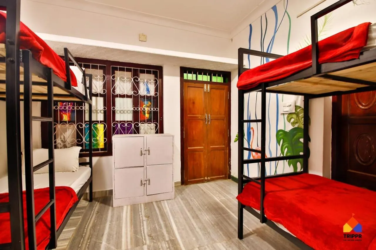 Trippr Alleppey - Backpacker Hostel Alappuzha India